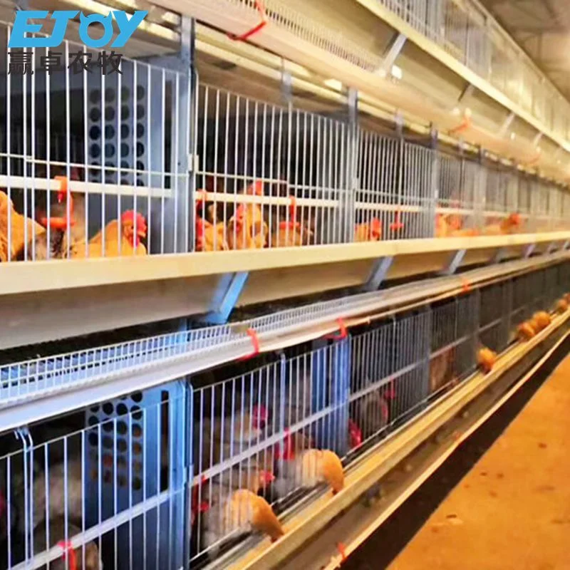 Granja de la capa de aves de corral automático de jaulas en batería ganado el equipo de pollo huevo