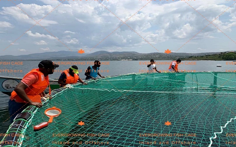 Compartimento da aquicultura plástico Circle safra agrícola de pesca formados por flutuante PE Net