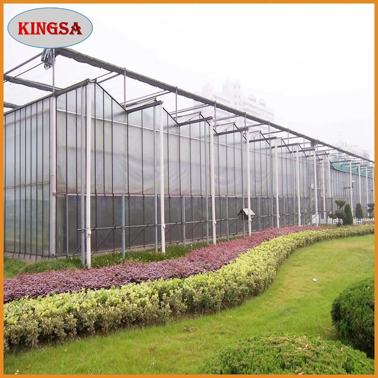 Agricultural/Commercial Multi-Span PC Sheet Greenhouse with Hydroponic System and Automatic Irrigation System