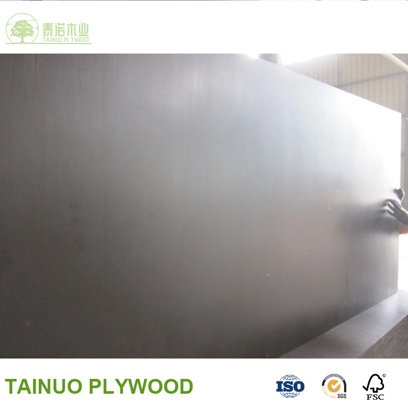 1530*3050 3mm/4mm/5mm/6mm Black Poplar Waterproof for Construction Anti Slip Film Faced Plywood