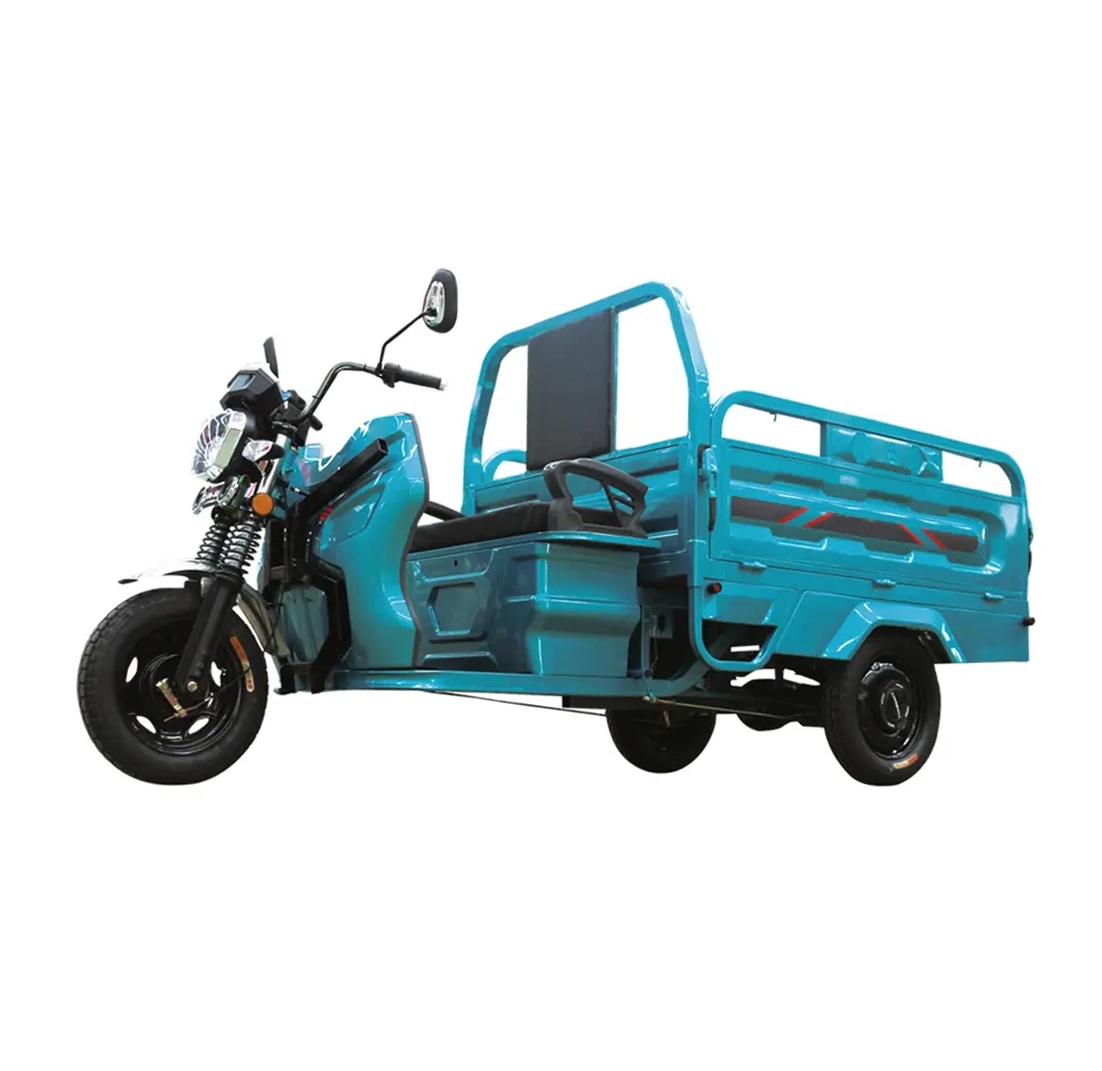 Electric Tricycle Best Safety and Popular 48/60V 1000W Three Wheeled Tricycle Cargo