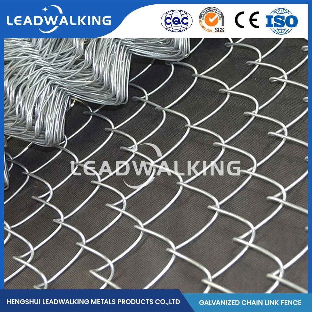 Leadwalking cadena portátil enlace cerce OEM cadena recubierta de plástico personalizada Link Fence Fabricantes China 60mm malla Tamaño cadena Galvanizada Link Malla