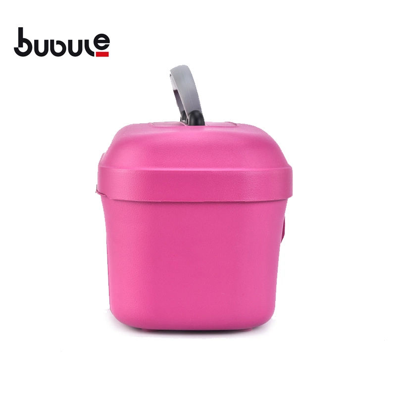 Bubule 14" High quality/High cost performance Wholesale/Supplier PP Ladies Fashion Cosmetic Box (BC05)