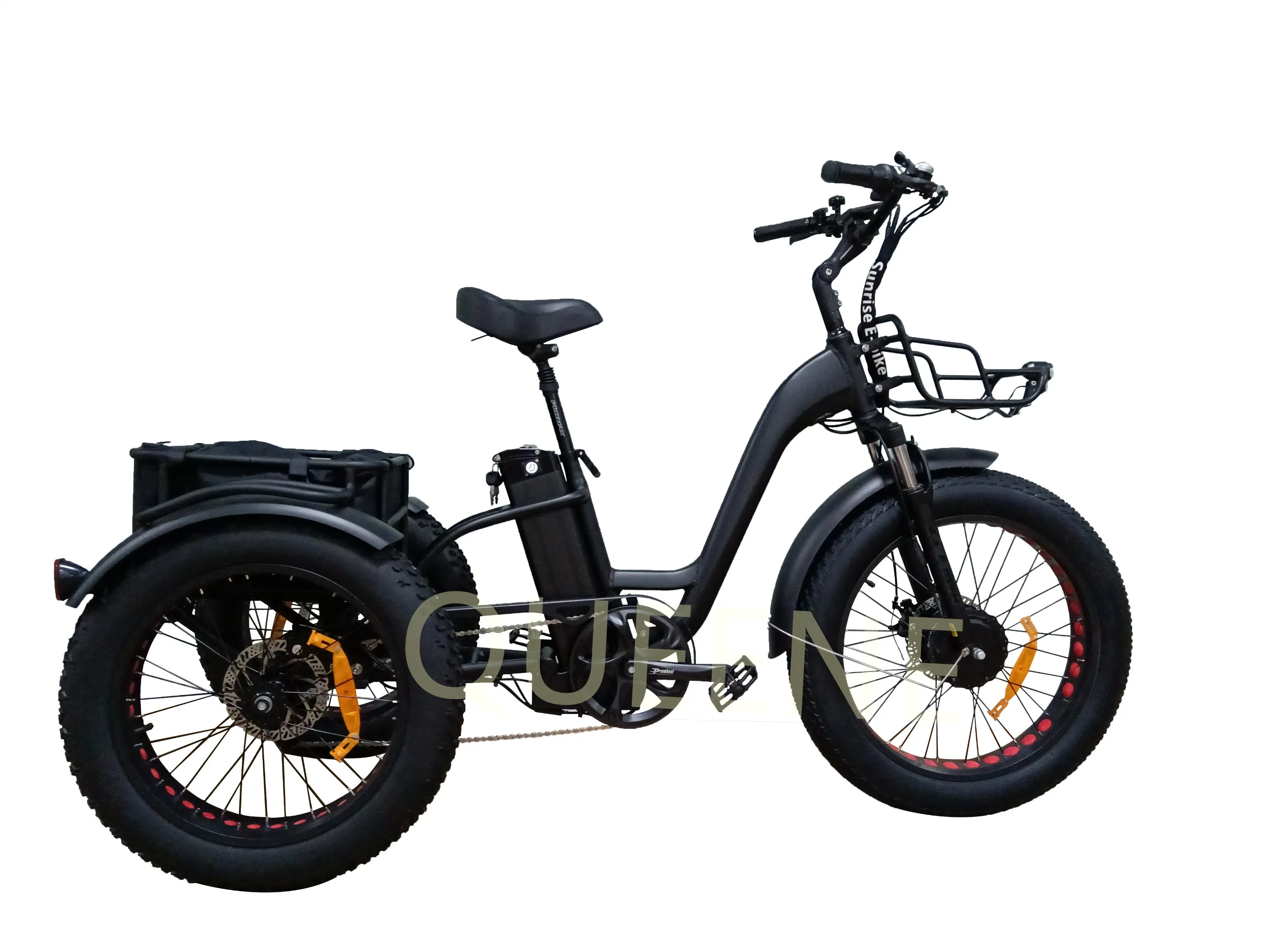 La grasa de la montaña de neumáticos Queene E-Bike Ebike fábrica 500W La entrega de alimentos Trike