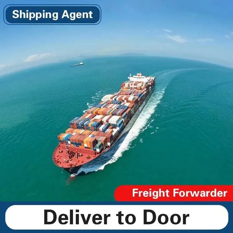 China Freight Freight Air Shipping DHL Express Transport LCL DDP to Door From China to UAE