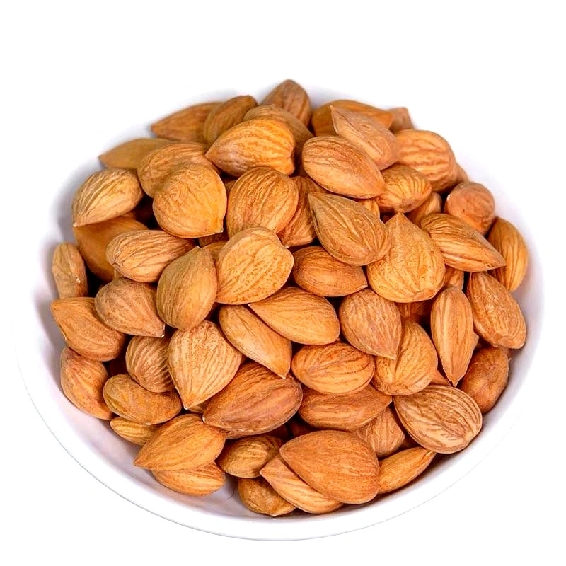 Ku Xing Ren Traditional Chinese Medicine Herbal Dried Raw Bitter Almond Kernels for Sale