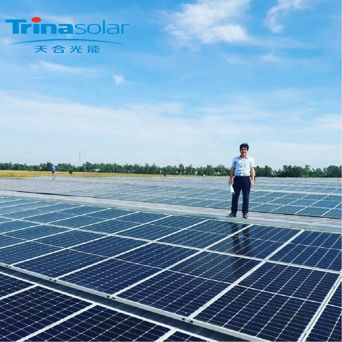 Tier 1 Brand Germany Stock Trina Brand Mono Perc 144cells 405W 410W 415W 420W PV Panel Solar Panel Cell with Low Price