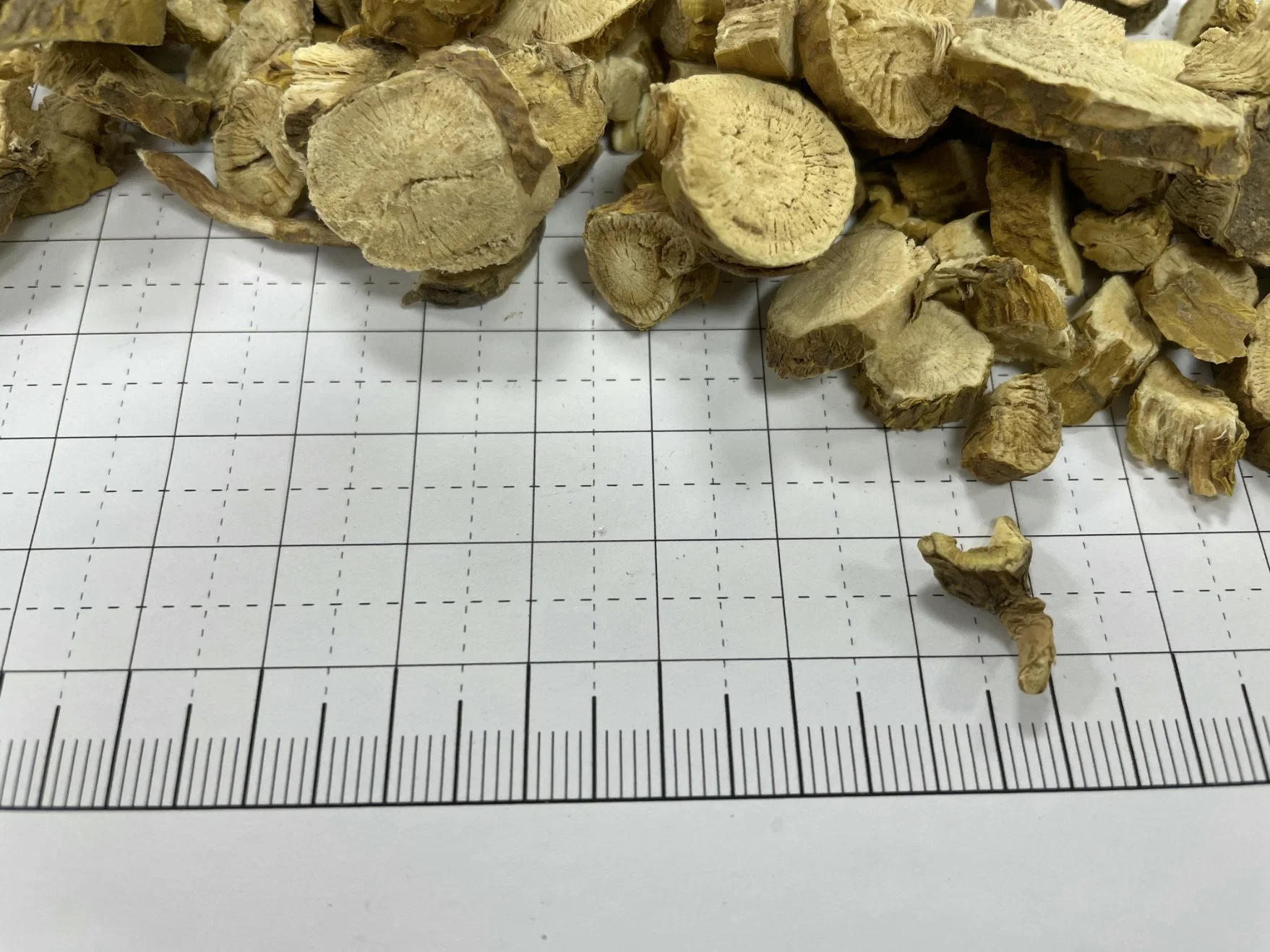 Sophorae Flavescentis Radix Sophora Flavescen Root Kushen Wholesale/Supplier Chinese Manufacturer Chinese Traditional Herb