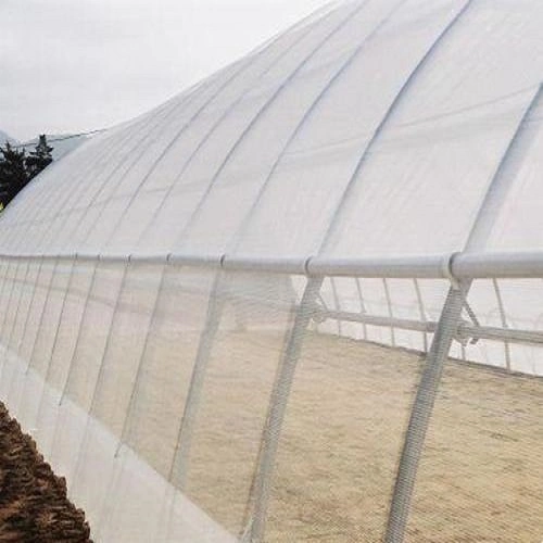 Insectos contra Red de Protección de la planta de gases de efecto para la siembra de tomate