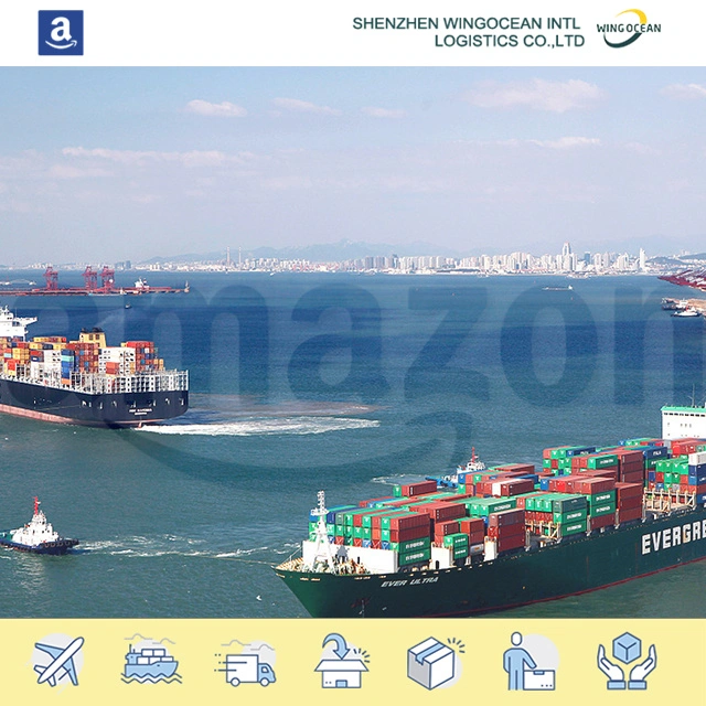 FCL LCL Sea Transport Shipping Cost From China to USA / Europe/ Africa/ Asia/ Australia/ Middle East/ South America