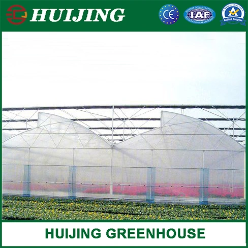 Cheap Customized UV Treated Plastic Film Greenhouse for Tomatoes