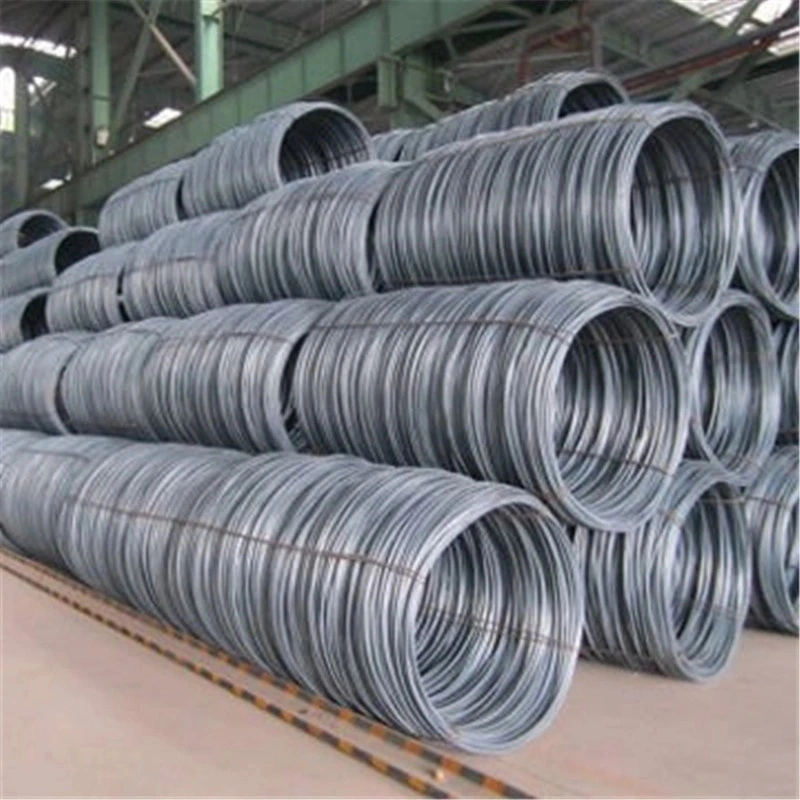 AISI Grade-316L Stainless Steel Wire Rod, Electrial Steel Wire Coil, Ms Wire Rod Coil