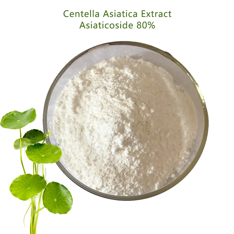 Factory Supply HPLC Asiaticoside Gotu Kola Extract Powder Centella Asiatica Extract