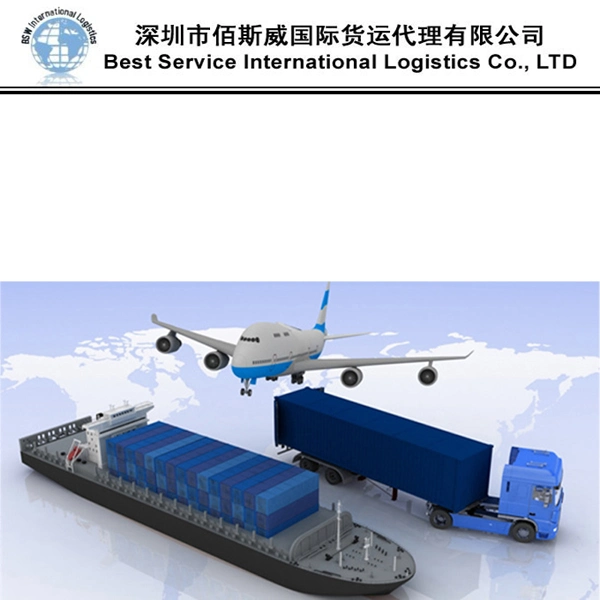 Export Agent DDP Air Shipping From China to Norway, Sweden, Finland, Italy, Pisa/ Messina/ Verona