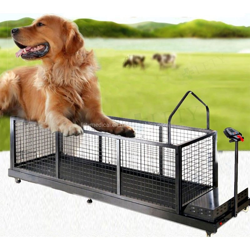 مصنع سعر كلب تدريب الطاحونة للكلاب يركض السير جهاز المشي