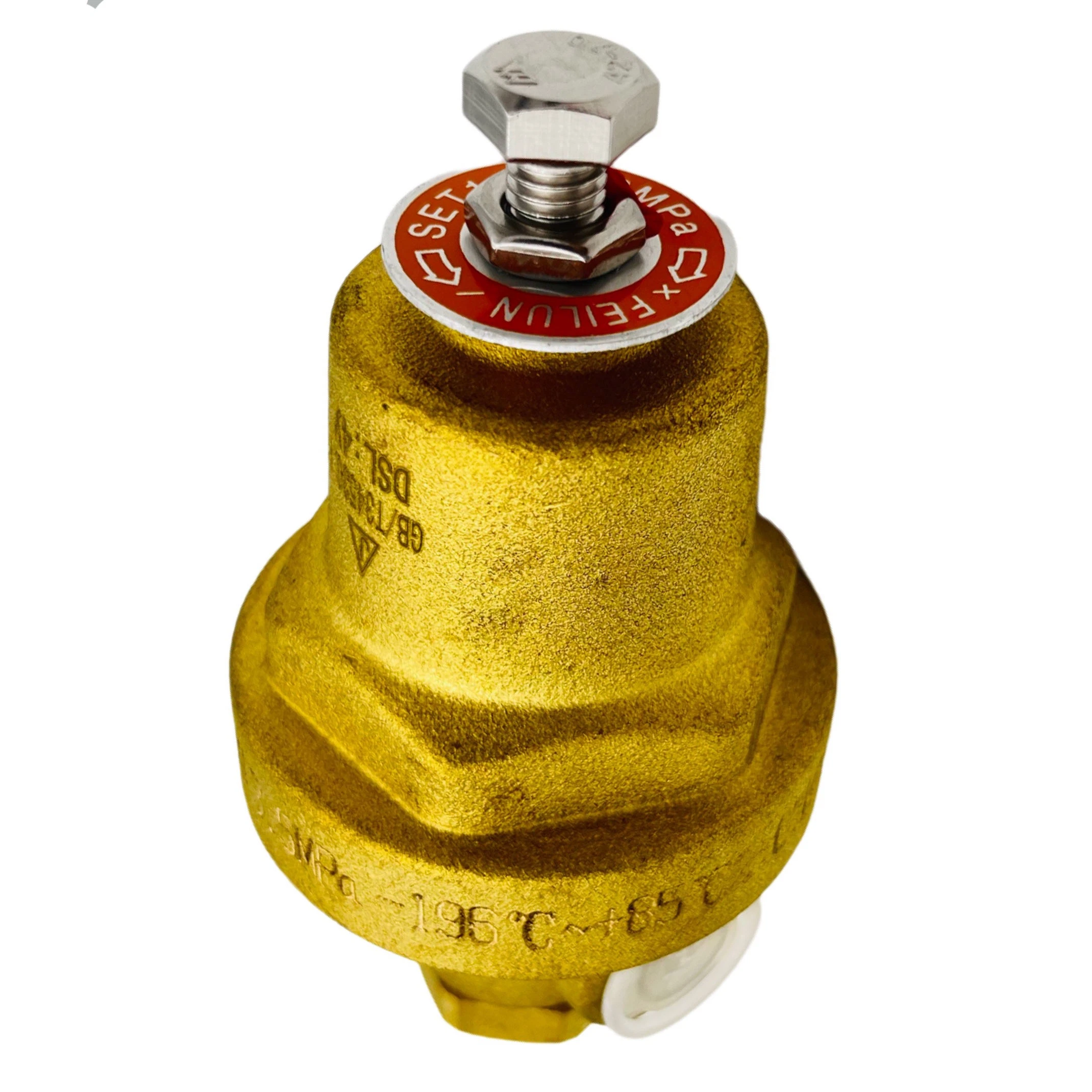 Feilun Dyz-06c Brass Low Temperature Cryogenic Combination Pressure Regulator