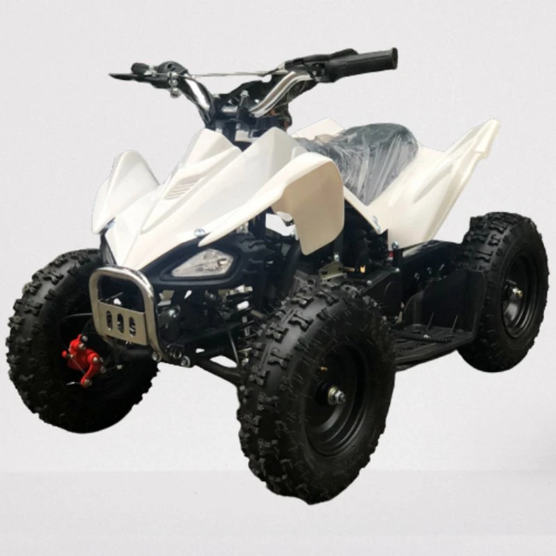 New Type CE Wholesale/Supplier Good Price Mini Kids ATV Quad Bike 49cc