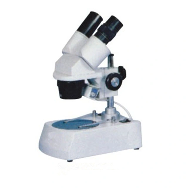 Student Study S-30 Series Stereo Microscope