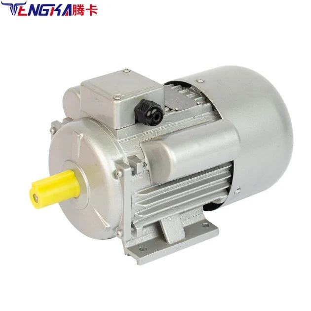 Tengka 240V AC Motor 300 Rpm 15000 Rpm 4000rpm AC Gear Motor 220V