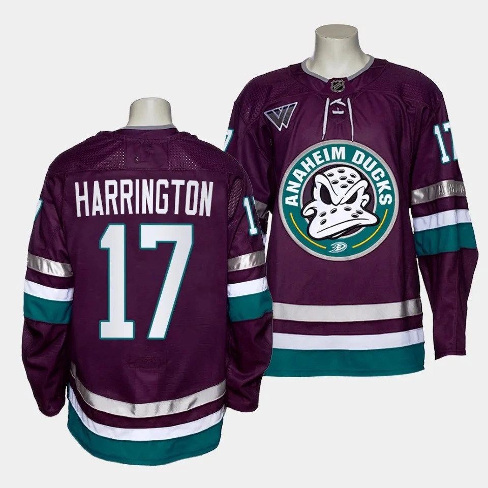 Maillot authentique alternatif violet du 30e anniversaire des Anaheim Ducks pour hommes en gros 2023-24.