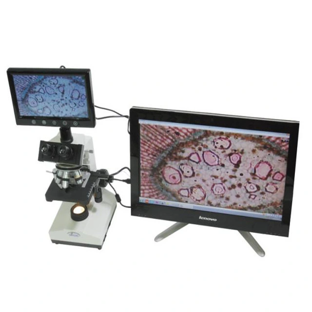 Laboratory Educational Biological Microscope for Multi-Viewing Function