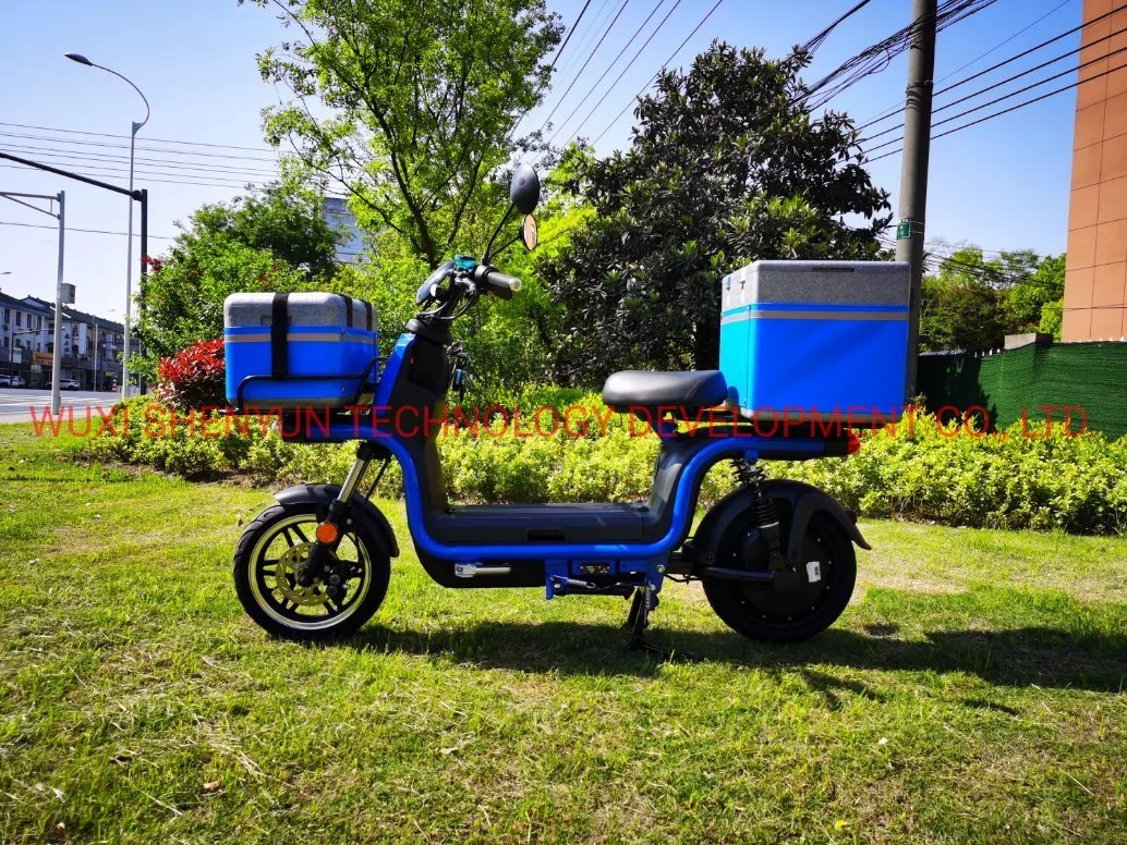 Para llevar Syev motocicleta eléctrica/scooter de 72V20Ah batería de plomo ácido Motor de 800 W