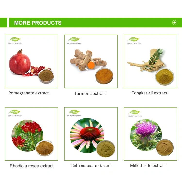Comext Free Sample Fruit Vegetable Vegan Purple Red Cranberry Powder
