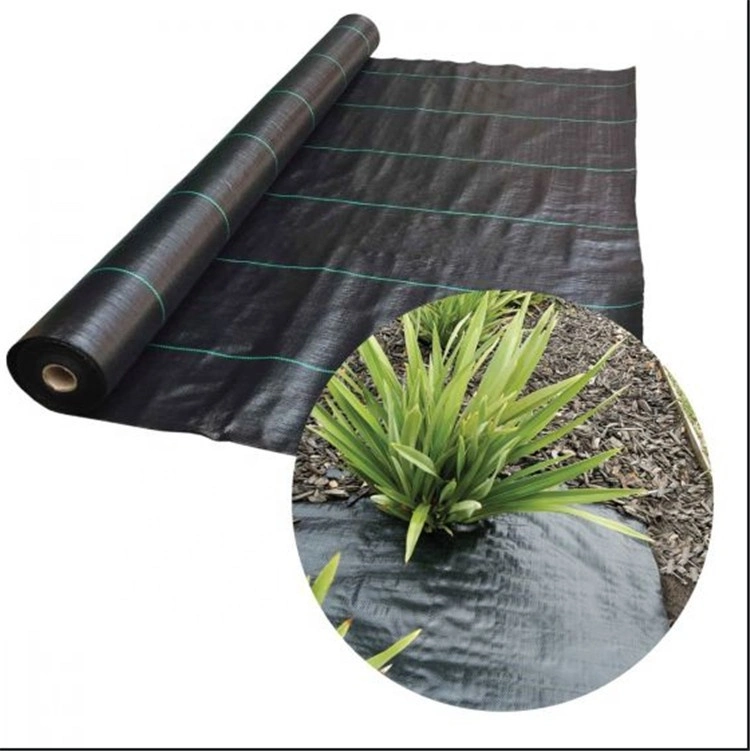 100GSM PP Black Mulch for Weed Control Anti Grass Ground Cover Weed Mat