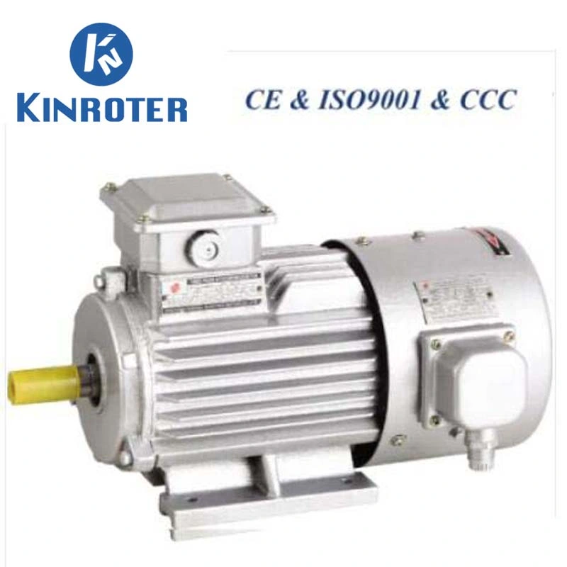 Yvf2 Series 2 Poles Three Phase Asynchronous Adjustable Speed AC Induction Motor