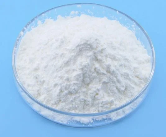 Reach/ISO 9001/ISO 14001 Factory 99% Purity Powder and Granular Magnesium Sulphate