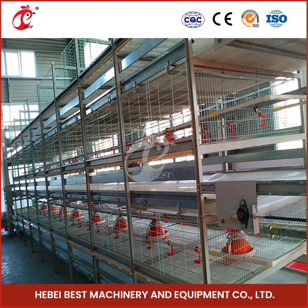 Bestchickencage China Automatic Breeding Chicken Cage Suppliers H Frame Automatic Boriler Cages Wholesale/Supplier Quick Clean Disinfect Features Battery Chicken Cages