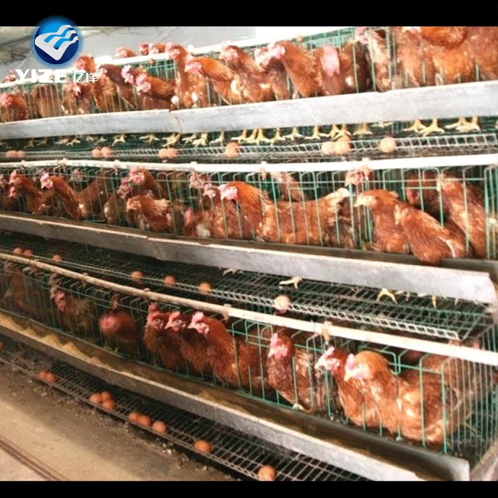 Venta caliente un tipo galvanizado de 4 capas de la jaula de pollo de granja avícola de Etiopía