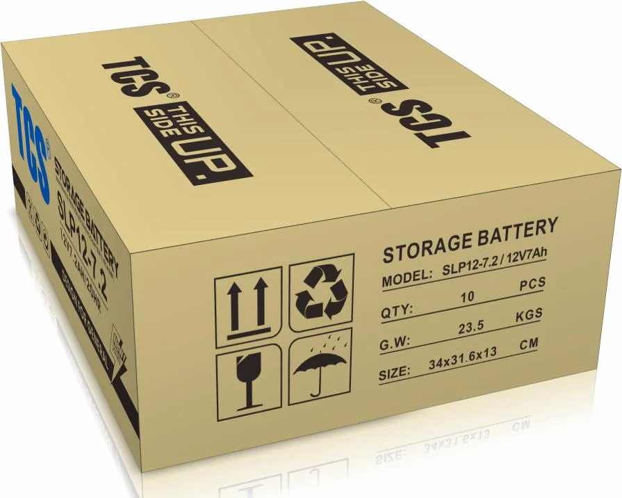 TCS Small Size Storage Battery SL12-10H