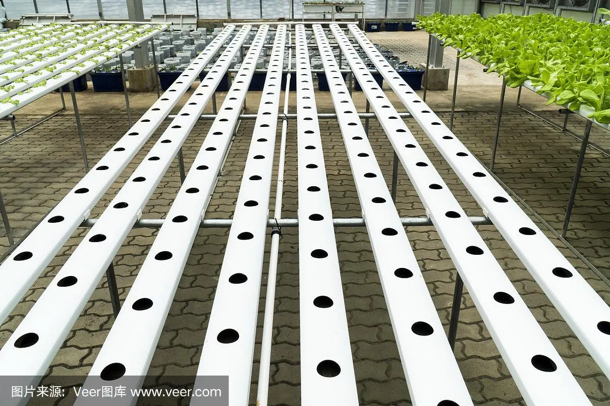 Fully Automatic Intelligent Green House Hydroponics Soiless Culture