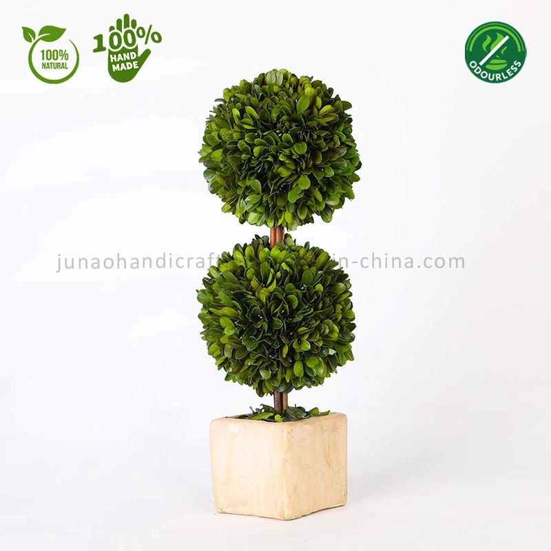 100% Natural Preserved Boxwood Topiary Bonsai Modern Greenery Plant Double Balls Tree Ornaments