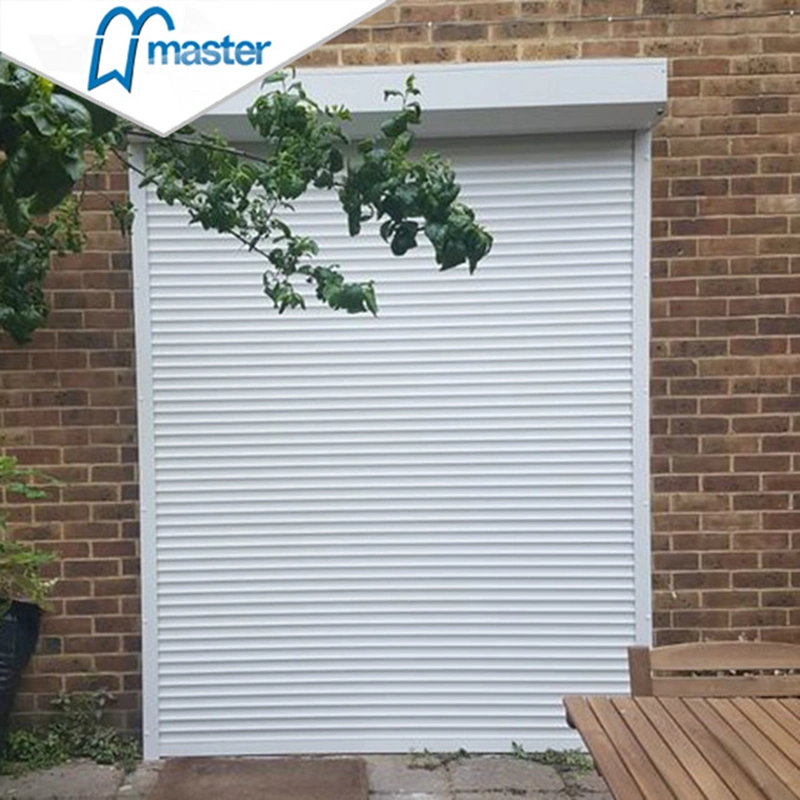 Galvanized Steel Roller Shutter Doors / Rolling Door/Remote Control for Car Door