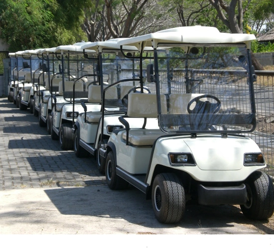 4 roues motrices de bonne qualité promotionnelle 2 passagers véhicule voiturette de golf (LT-A2)