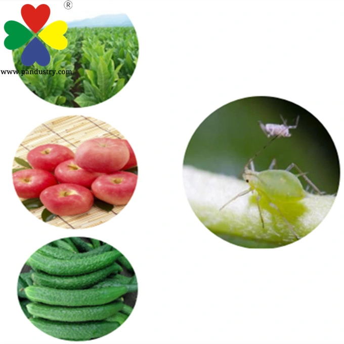 Systemic Insecticide Best Price Insecticide Acetamiprid 97%Tc