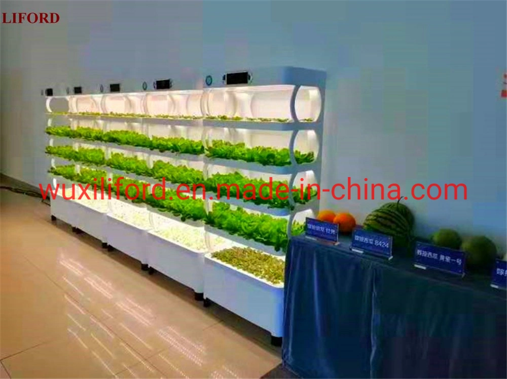 Indoor Microgreen Growing/Seedling Hydroponics System with Intelligent LED Grow Lights