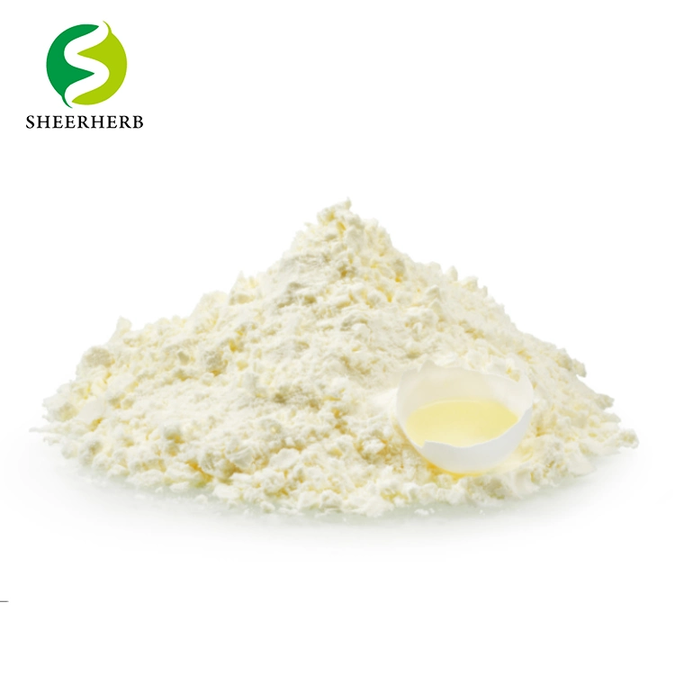 Egg-White Albumen Powder Unflavored Egg White Protein Powder Egg White Powder