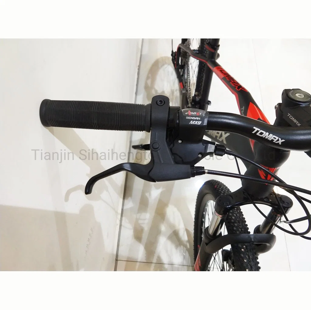 26 Inch Bike Steel Frame Mountain Bicycle Cheap Bike 21 Speed Basic Customization