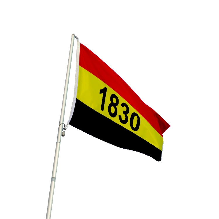 Benutzerdefinierte Flagge Outdoor Flying Polyester Flagge Custom Banner Flagge