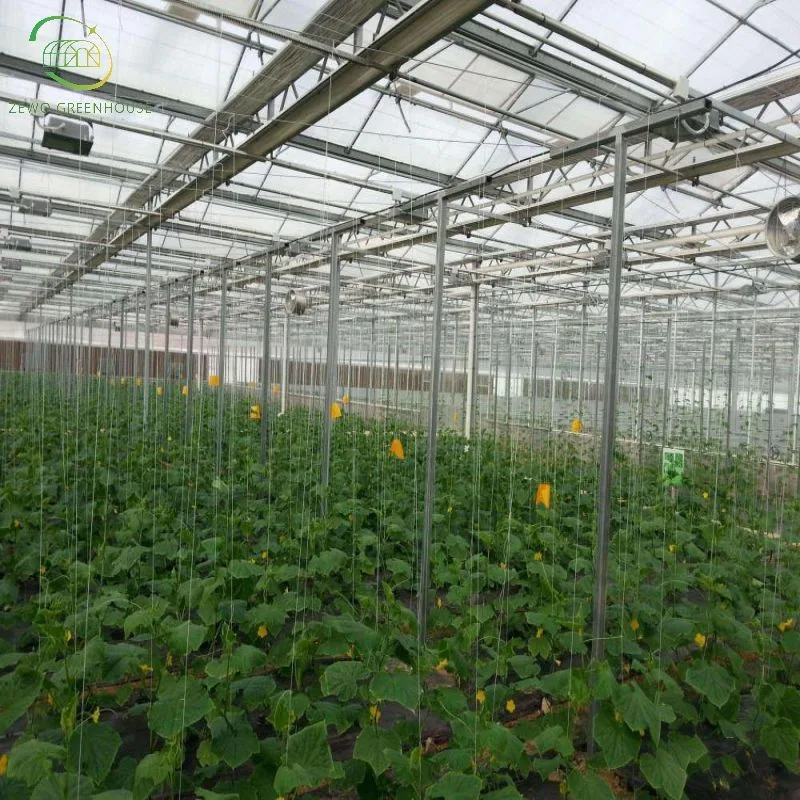 High quality/High cost performance  Automatic Drip Irrigation System for Greenhouse