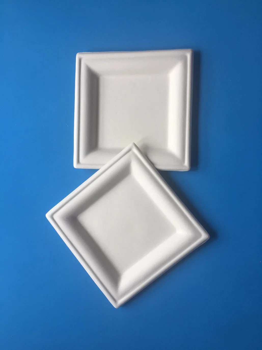 Disposable Biodegradable Bagasse Pulp Paper Food Packaging Plate 5 Cells Manufactury Sell