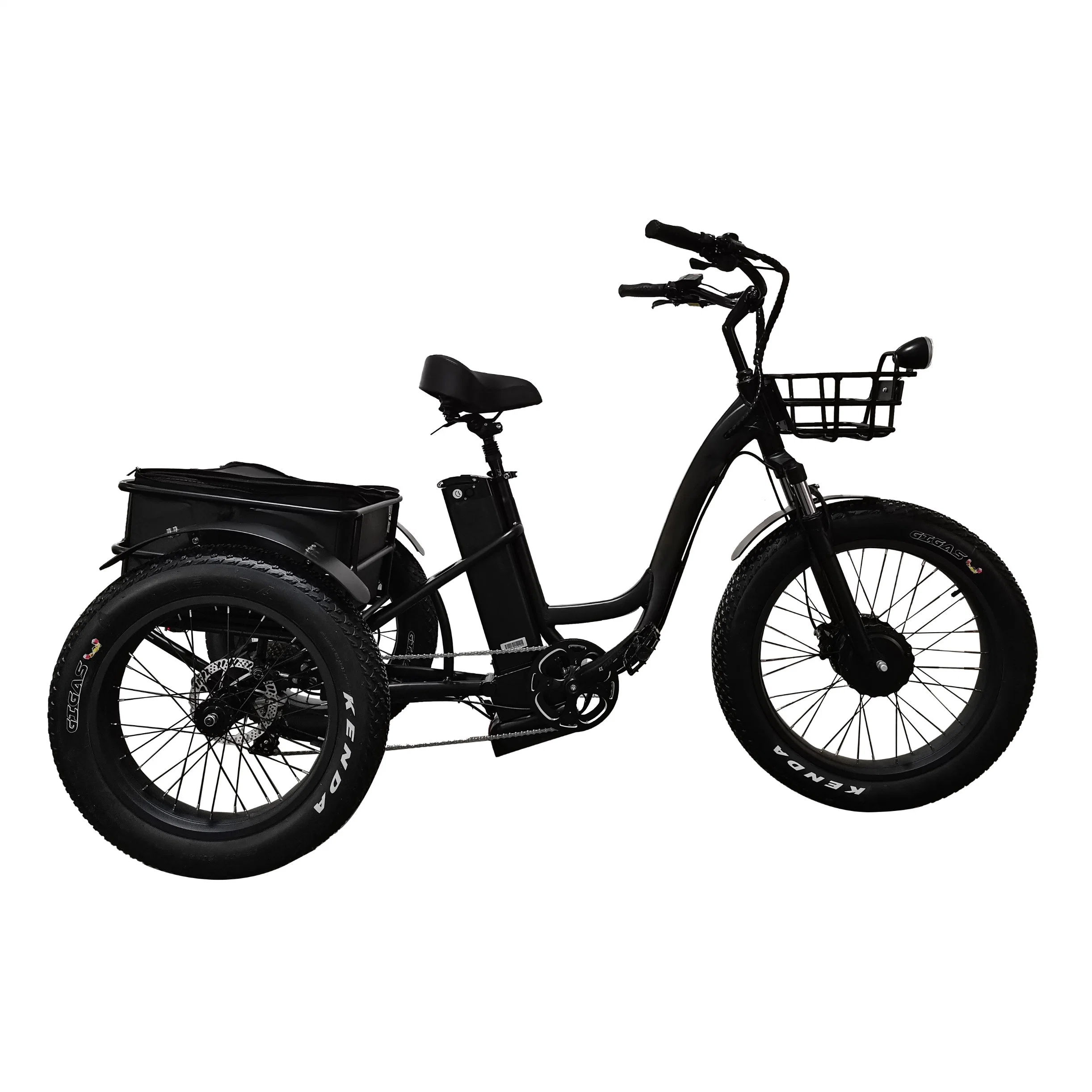 Hot Sell Cheap Trike Bike Lithium Battery Electric Tricycle 3 Wheel Electric Cargo