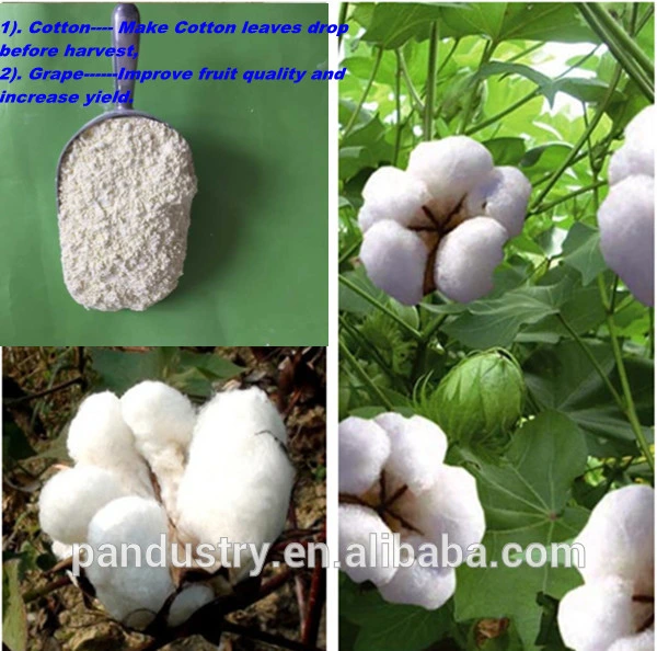 CAS 51707-55-2, Plant Growth Hormones Defoliating Agent 97%Tc, 50%Wp, Thidiazuron Tdz
