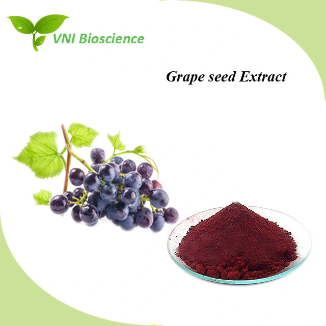 Kosher Halal Certified 100% Natural Grape Seed Extract