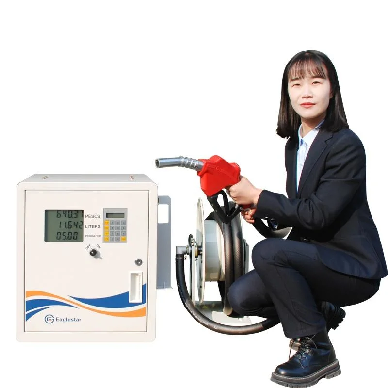 Eaglestar Diesel Petrol Portable Mini Pump 10m 15m Hose Reel Truck Carry Fuel Dispenser