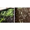 Vermicompost Bio-fertilizante orgânico Condicionador de solo