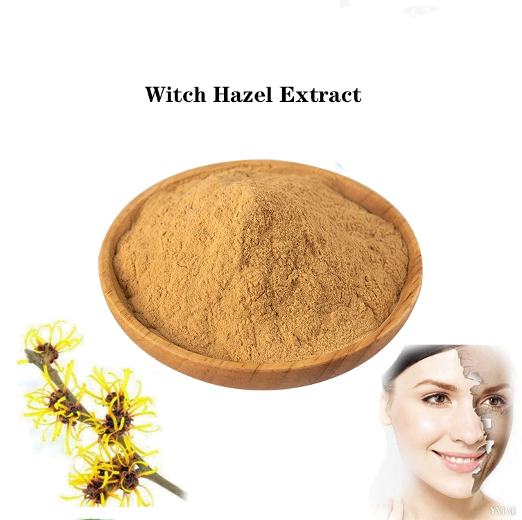 100% Natural Organic Witch Hazel Extract Powder